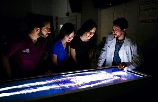 Students viewing an X-ray of a human skeleton